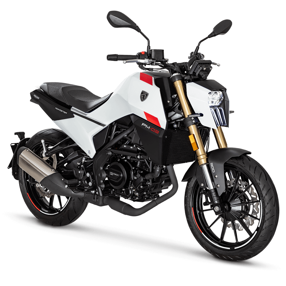 Peugeot PM-03 300